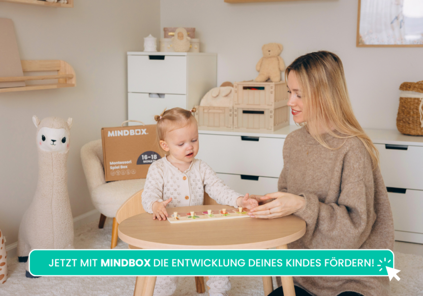 9. Bild von Mindbox + CTA